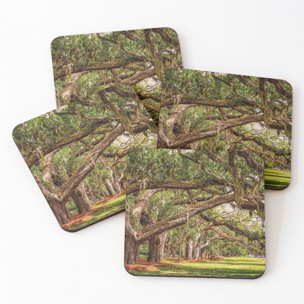 Item preview, Line of Oak LImbs Over Lawn designed and sold by dbvirago.