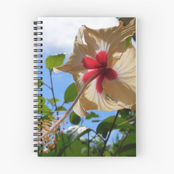 Item preview, Closeup of a Hibiscus Flower designed and sold by PlatypusDoodles.