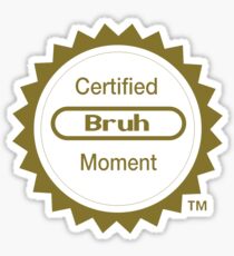 Certified Bruh Moment Sticker