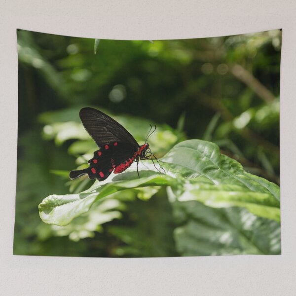 Item preview, A Gem in the Jungle - Crimson Rose Swallowtail Butterfly designed and sold by Georgia Mizuleva.