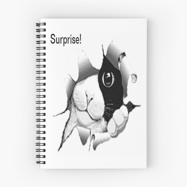 Item preview, Curious Black and White Cat Surprise designed and sold by MurphyMorganGifts.