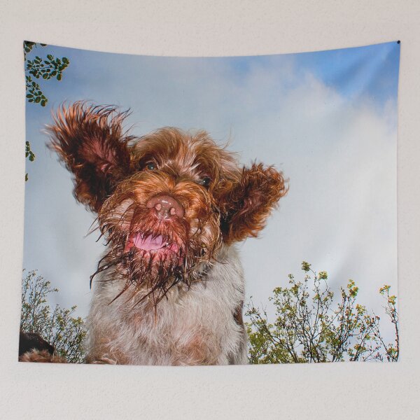 Item preview, Hello down there! Spinone by heidiannemorris designed and sold by FOLK ART FUSION by heidiannemorris.