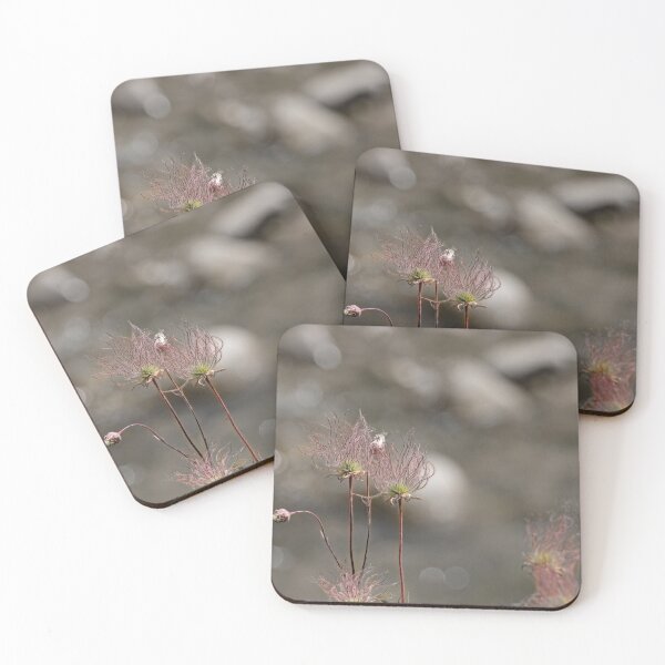 Item preview, Seed pods designed and sold by Eileen McVey.
