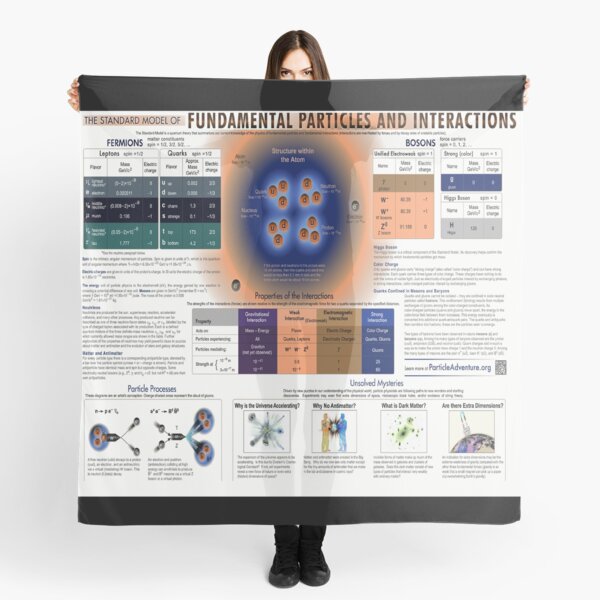 The Standard Model of Fundamental Particles and #Interactions - #Physics #StandardModel #FundamentalParticles Scarf