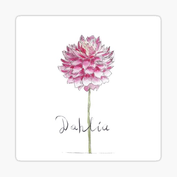 Item preview, Dahlia designed and sold by camertone.