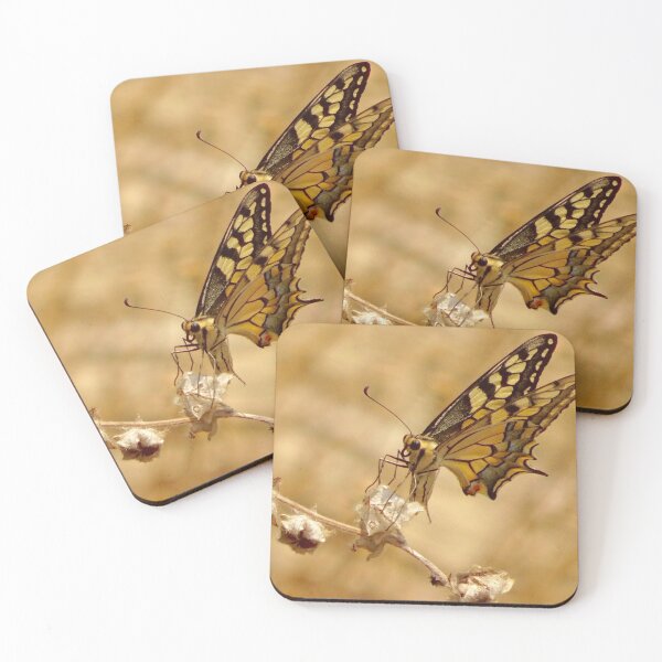 Item preview, Swallowtail designed and sold by dilouise.