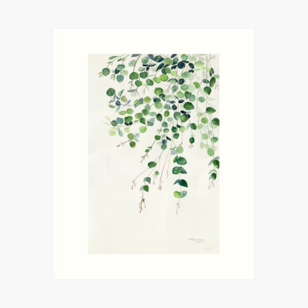 Eucalyptus Watercolor Art Print