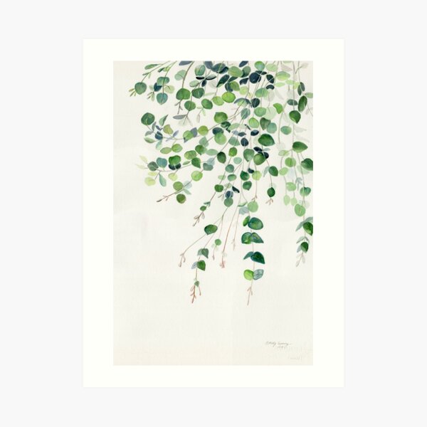 Eukalyptus Aquarell Kunstdruck