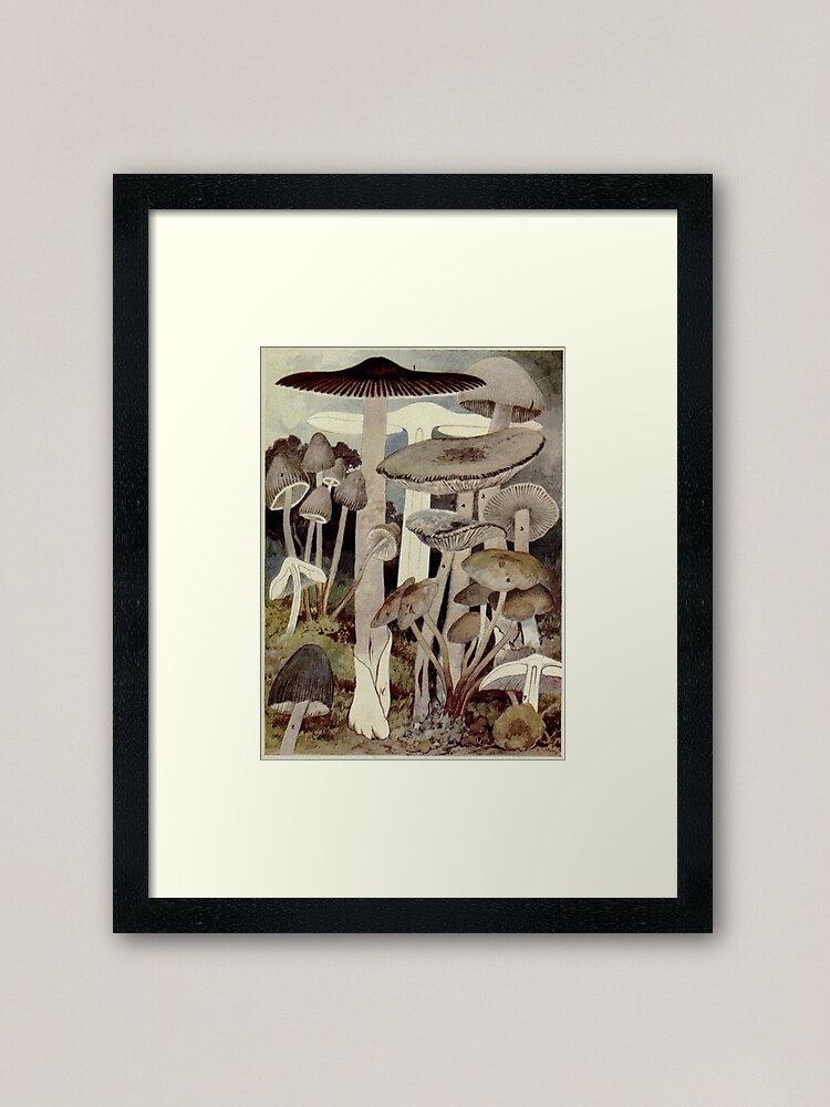Alternate view of Vintage Mushroom Illustration Framed Art Print