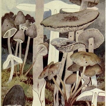 Artwork thumbnail, Vintage Mushroom Illustration by BlueSpecsStudio