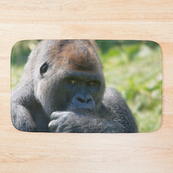 Item preview, Silverback Gorilla And His Blanket designed and sold by rawshutterbug.