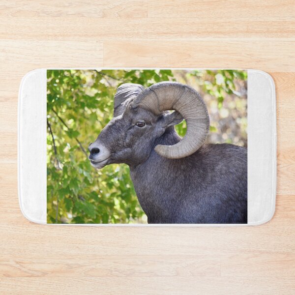 Item preview, Colorado Bighorn Sheep designed and sold by richardbryce.