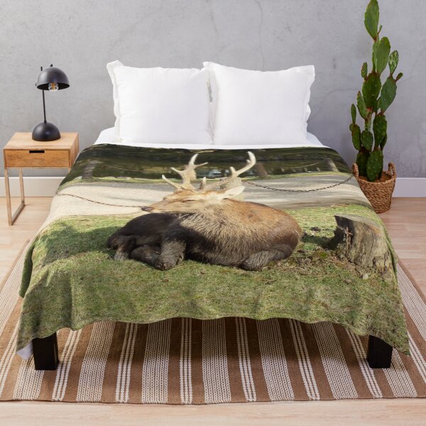 Item preview, Resting Buck designed and sold by Photosinic.