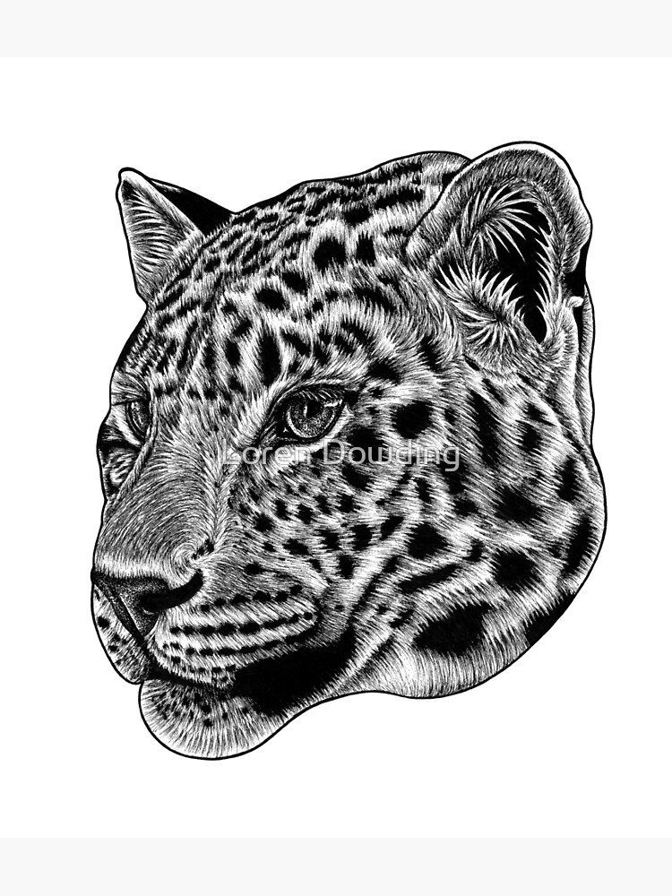 Leopard Pen Drawing By Rens Ink