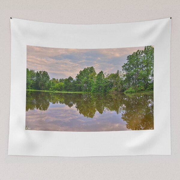 Item preview, Reflections On A Pond designed and sold by LisaWootenPhoto.