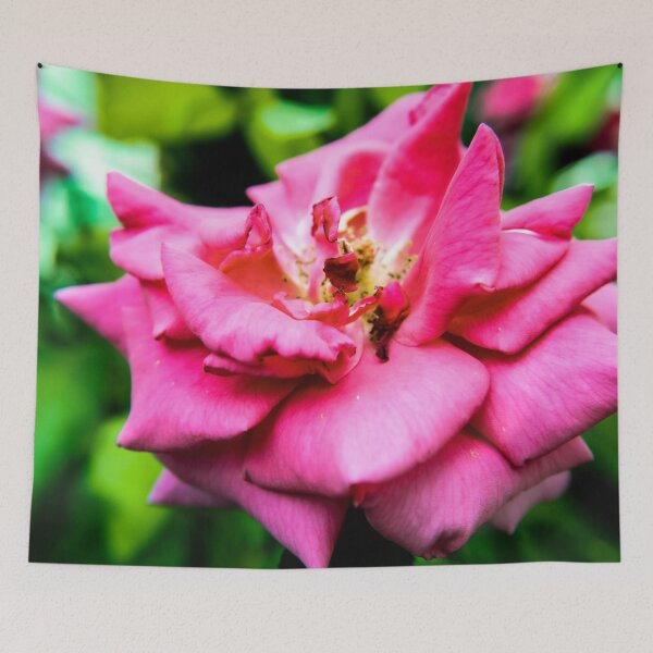 Item preview, Garden Photography #2 designed and sold by Olympia Ellinas.