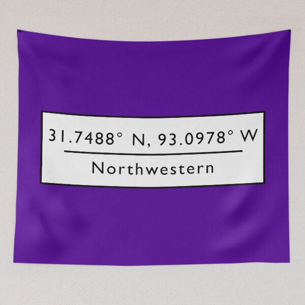 Item preview, Northwestern designed and sold by cocreations.
