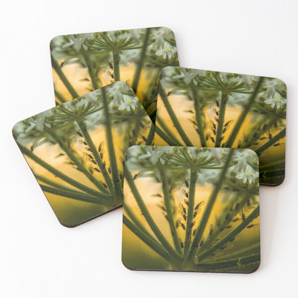 Item preview, Aphids Silhouette designed and sold by ShelleyTamara.