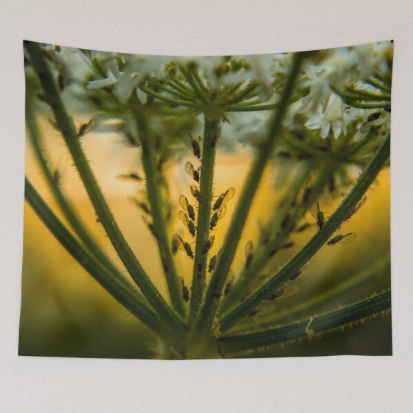 Item preview, Aphids Silhouette designed and sold by ShelleyTamara.
