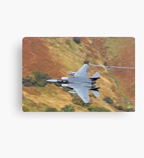 F-15 Eagle Canvas Print