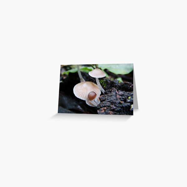 Just Us Greeting Card