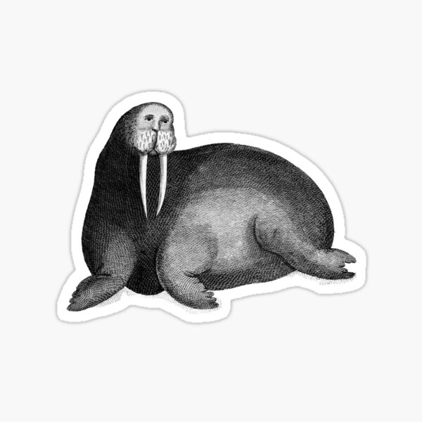 Item preview, Arctic Walrus 1806 designed and sold by Dog-head.