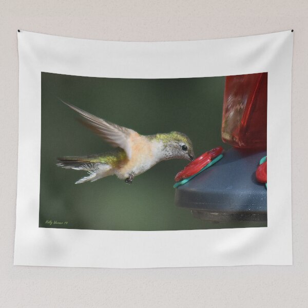 Item preview, Colorado Heights Humming Bird designed and sold by Holly Werner.