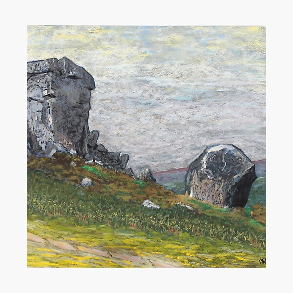 Cow and Calf rocks Photographic Print