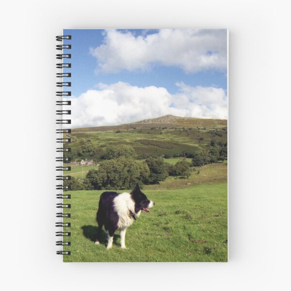 Item preview, Border Collie Paradise! designed and sold by Michael Haslam.