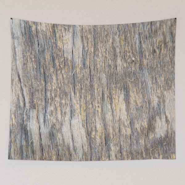 Item preview, Tree bark 4 designed and sold by Photosinic.