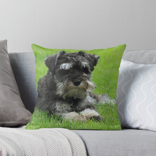 Artikelvorschau, Schnauzer entworfen und verkauft von Maya12.