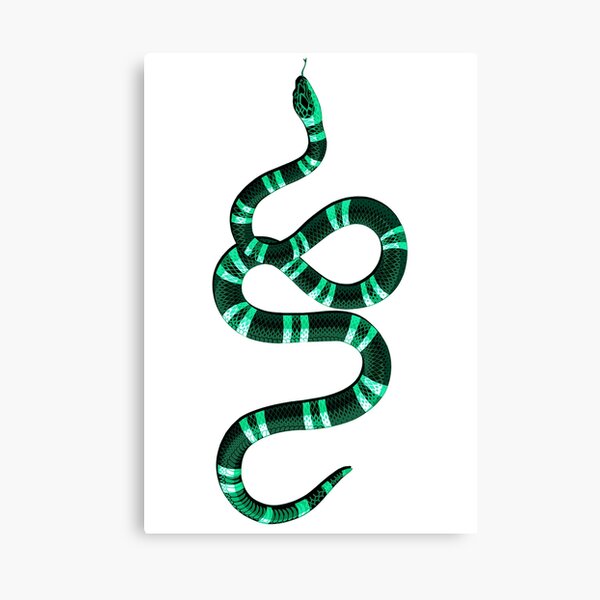 Gucci Snake Canvas Prints Redbubble - green snake eyes all roblox snake eyes png image transparent