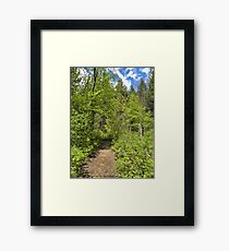 Mountain Path Framed Print
