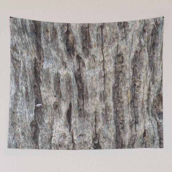 Item preview, Tree bark 5 designed and sold by Photosinic.