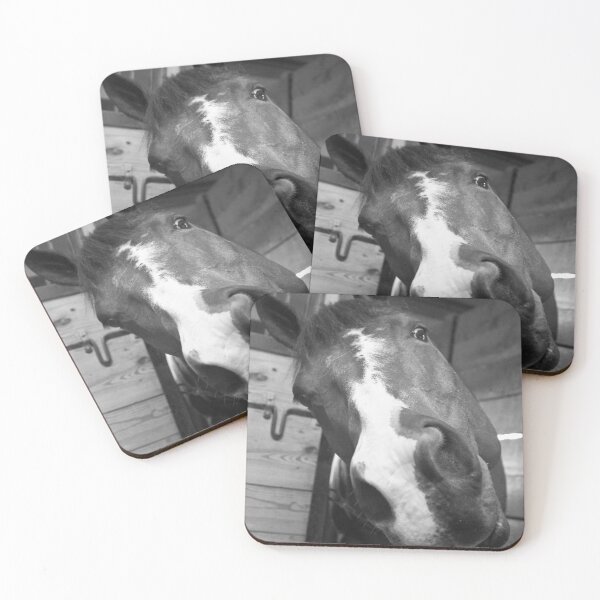 Item preview, Many Sides of the Equine designed and sold by Tiffany Bumgardner.