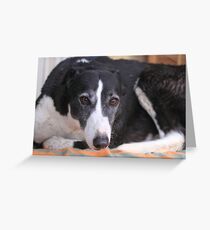 Lady Greeting Card
