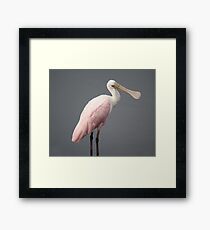 Soft Framed Print