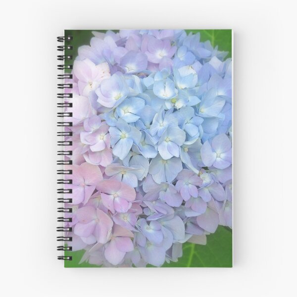 Item preview, Multi-Colored Hydrangea designed and sold by kkphoto1.
