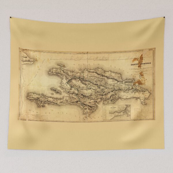 Item preview, Mapa de la Isla de Santo Domingo (1858) designed and sold by allhistory.