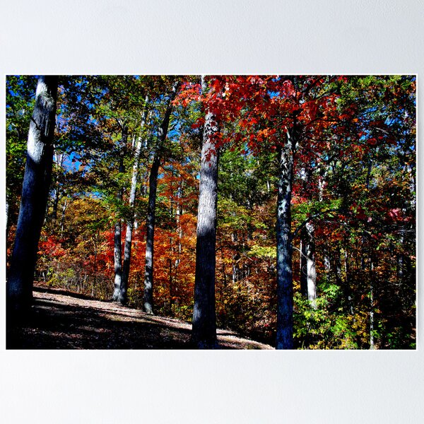 Item preview, Inside the wonders of Fall designed and sold by Tibro23.