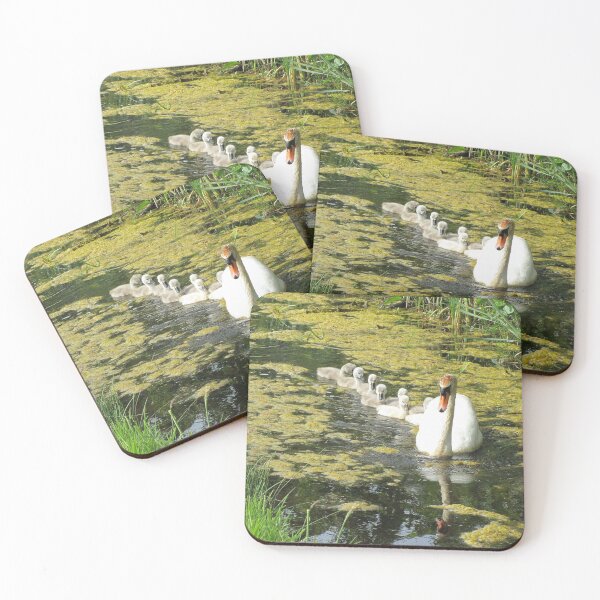 Item preview, Mother swan with her chicks designed and sold by DahliaVivaldi.