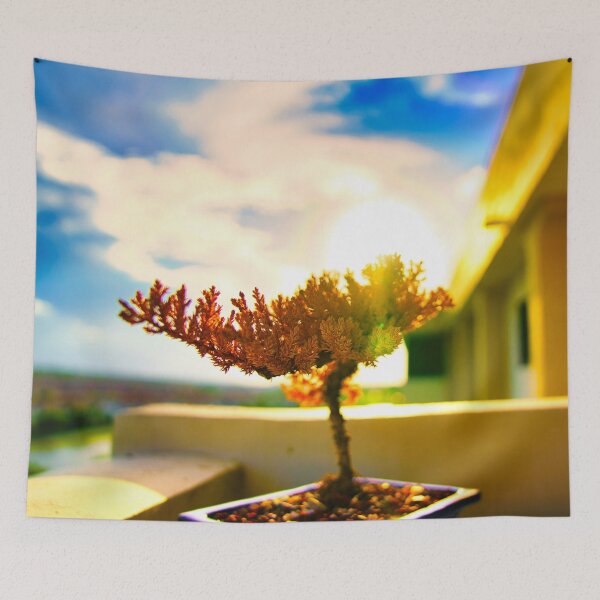 Item preview, Bonsai Sunset designed and sold by ajoberlender.