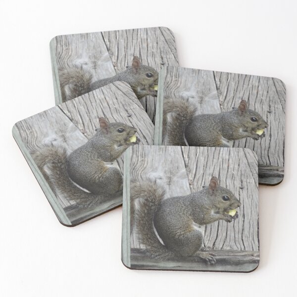 Item preview, Squirrel, Whats For Lunch? by Orikall designed and sold by HippieWorks.