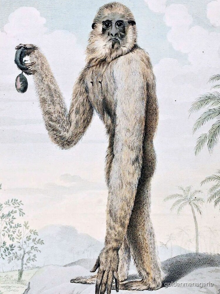 "Long Armed Gibbon Ape Art" iPhone Case for Sale by goldenmenagerie
