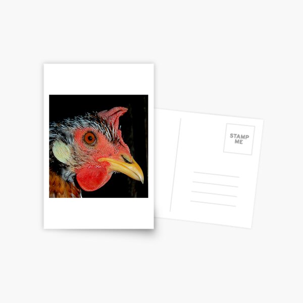 Don't u think I am good looking? Postcard