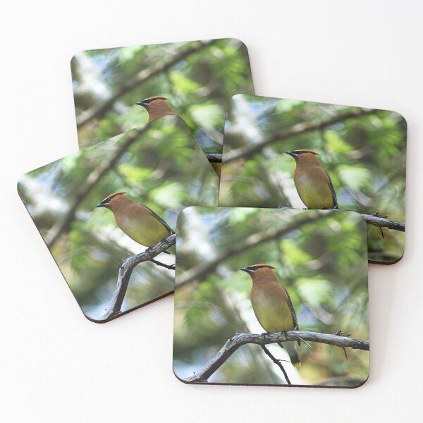 Item preview, Cedar Waxwing designed and sold by Kaylee Busniuk.