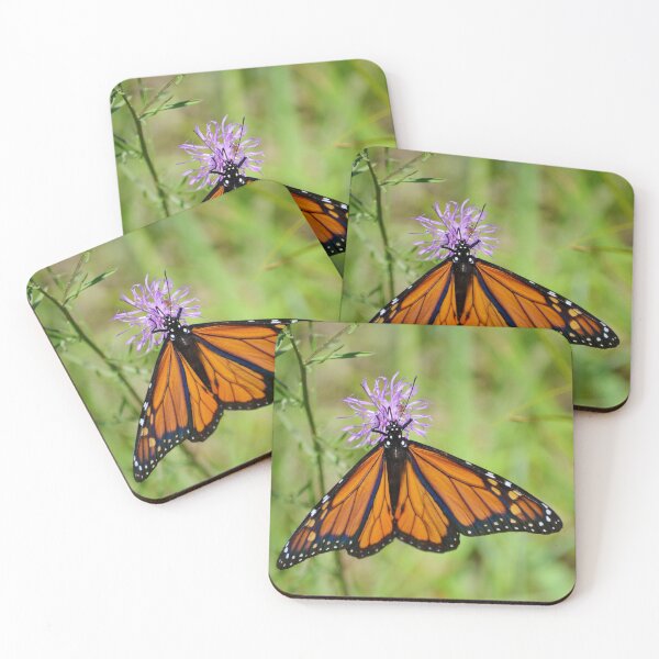 Item preview, Monarch On A Knapweed Flower designed and sold by farmbrough.