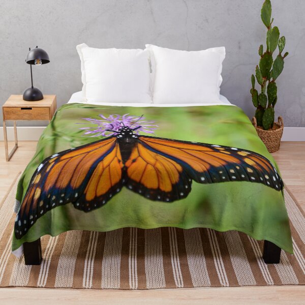 Item preview, Monarch On A Knapweed Flower designed and sold by farmbrough.