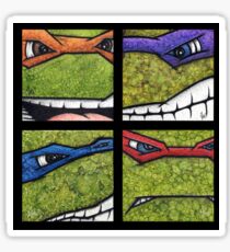 Teenage Mutant Ninja Turtles TMNT Sticker