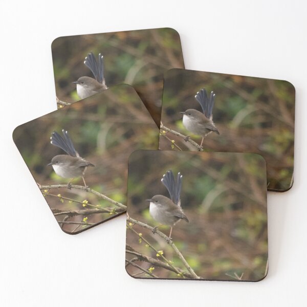 Item preview, A wee little Splendid Wren designed and sold by Clare Colins.